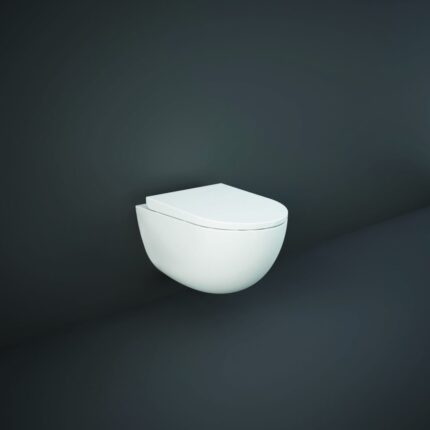 RAK-Des Wall Hung Pan