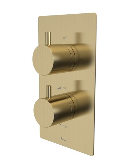 Quantum Dual Function Shower Valve