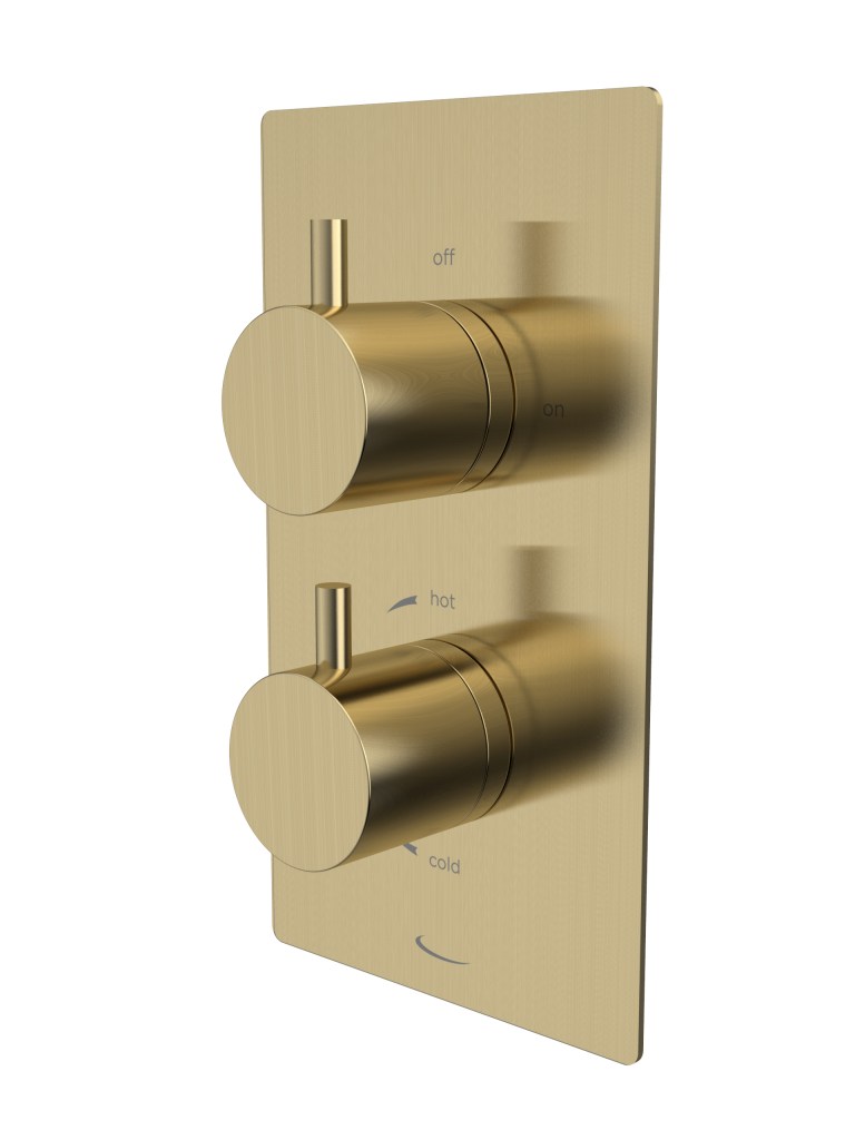 Quantum Dual Function Shower Valve Quantum Dual Function Shower Valve - Image 1