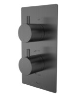 Quantum Dual Function Shower Valve - Gunmetal